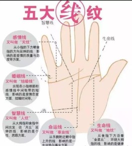 如何区分手掌杂纹和手纹(如何区分手掌杂纹和手纹图)