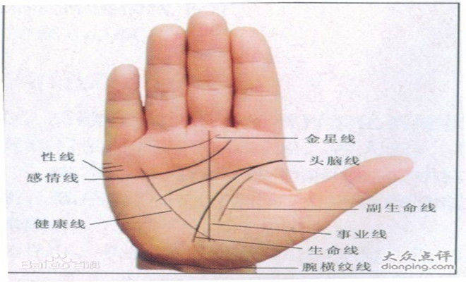 手指长痣代表什么图解图片